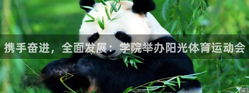 捷报篮球体育：携手奋进，全面发展：学院举办阳光体育运动会