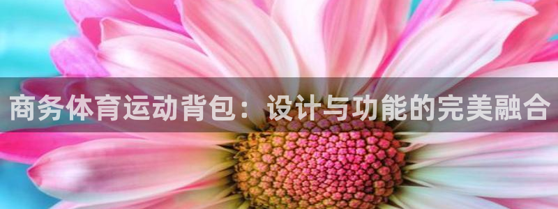 捷报上不封顶电视剧免费观看：商务体育运动背包：设计与功能的完美融合