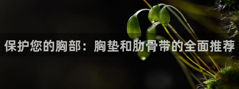 捷报即时：保护您的胸部：胸垫和肋骨带的全面推荐