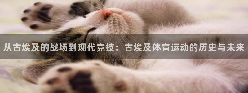 捷报购彩网：从古埃及的战场到现代竞技：古埃及体育运动的历史与未来