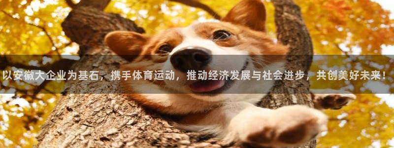捷报足球：以安徽大企业为基石，携手体育运动，推动经济发展与社会进步，共创美好未来！
