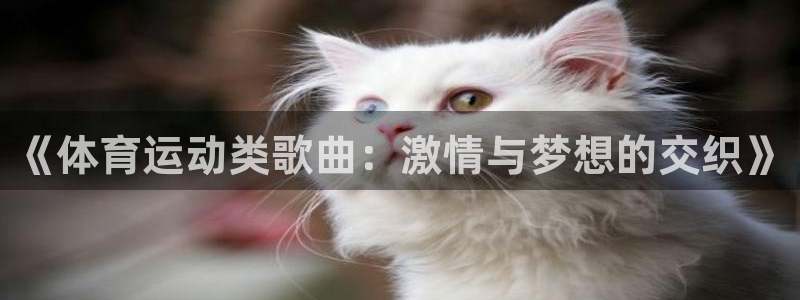 捷报比分篮球：《体育运动类歌曲：激情与梦想的交织》